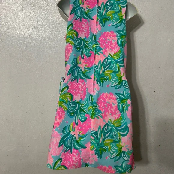 Lilly Pulitzer Pink and Blue Floral Dress - Picture 7 of 10